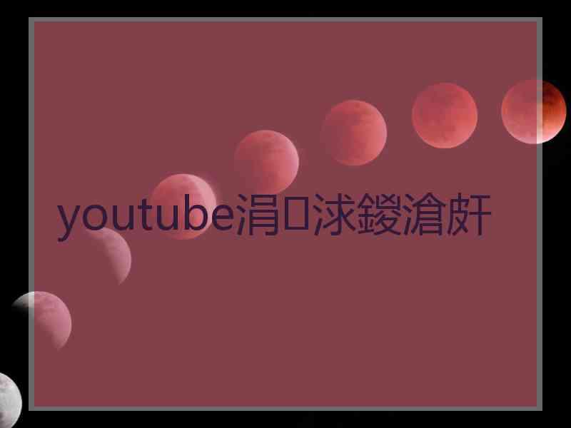 youtube涓浗鍐滄皯