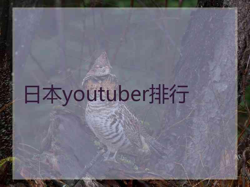 日本youtuber排行