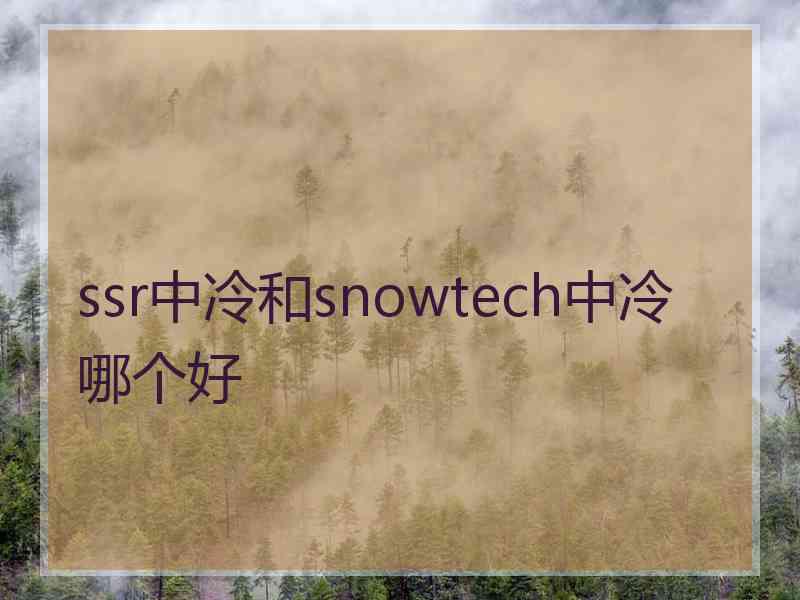 ssr中冷和snowtech中冷哪个好