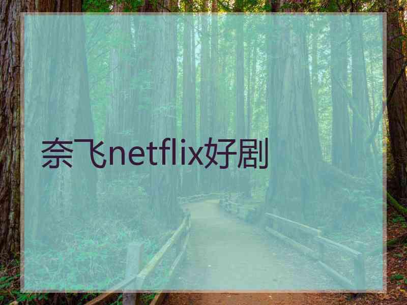 奈飞netflix好剧