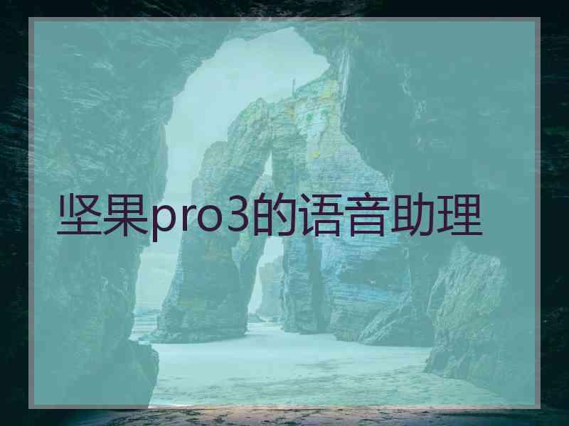 坚果pro3的语音助理