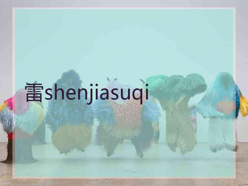 雷shenjiasuqi