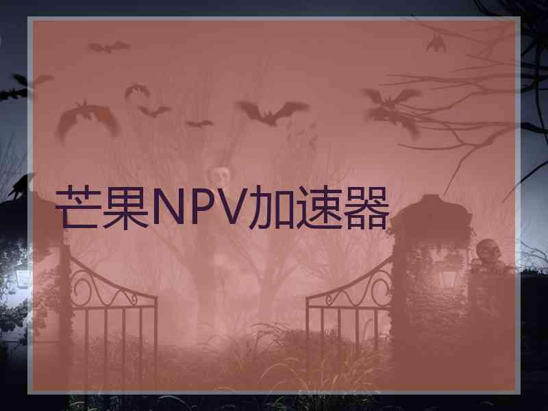 芒果NPV加速器