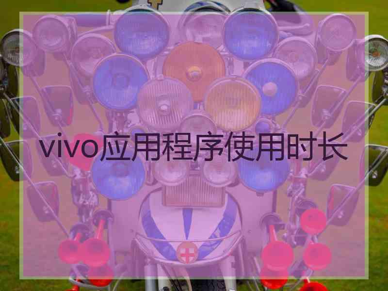 vivo应用程序使用时长