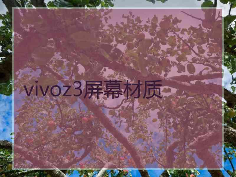 vivoz3屏幕材质