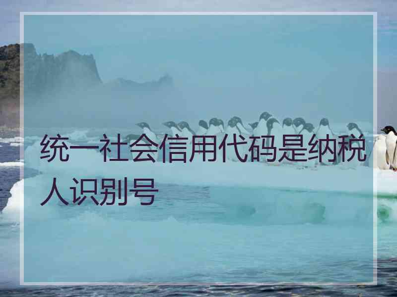 统一社会信用代码是纳税人识别号