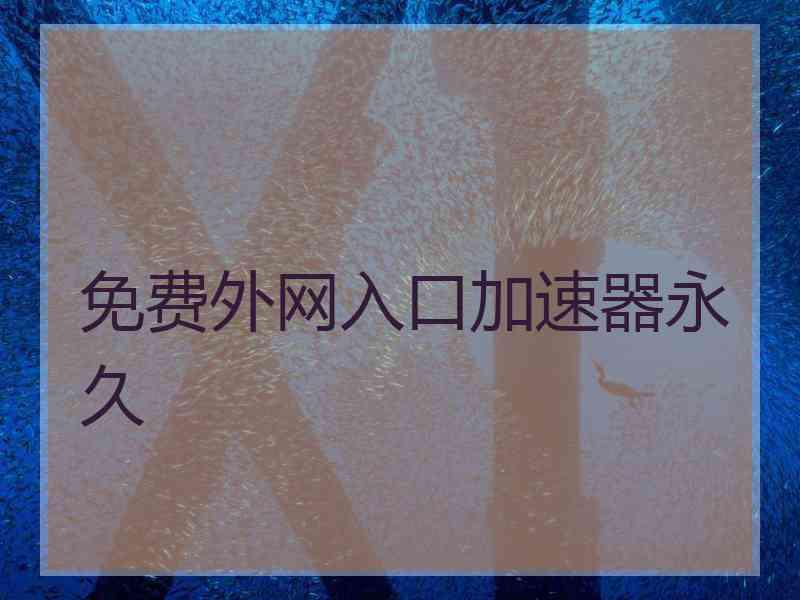 免费外网入口加速器永久