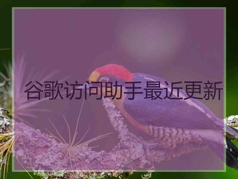 谷歌访问助手最近更新