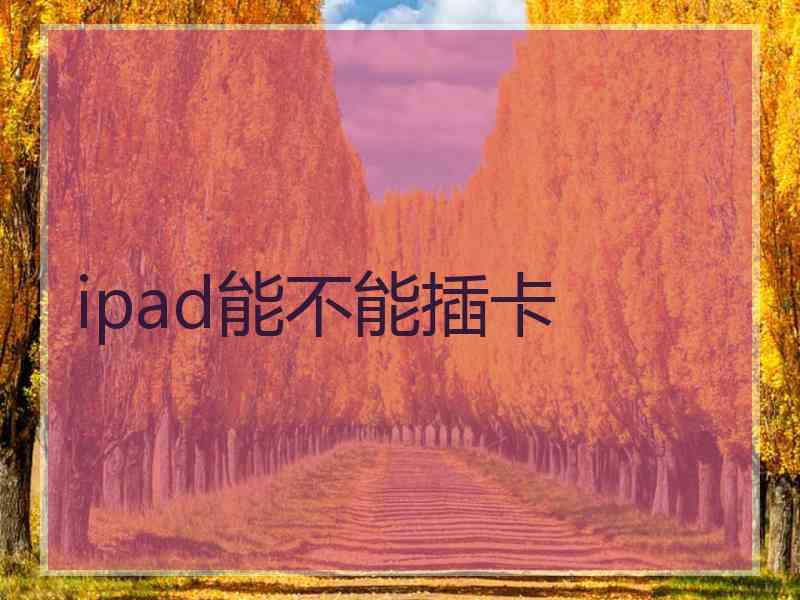 ipad能不能插卡