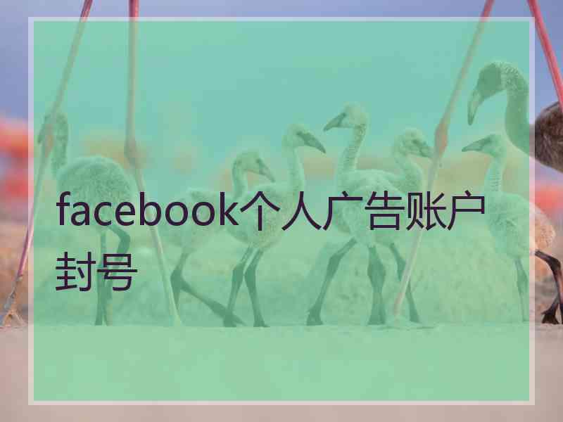 facebook个人广告账户封号