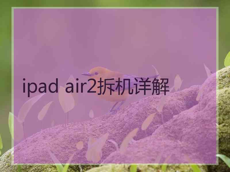 ipad air2拆机详解