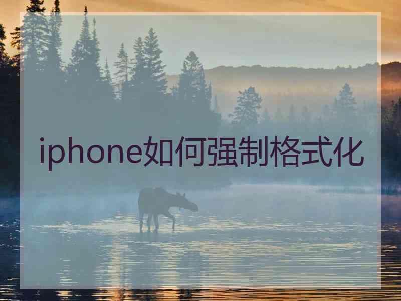 iphone如何强制格式化