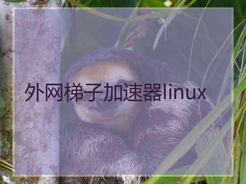 外网梯子加速器linux