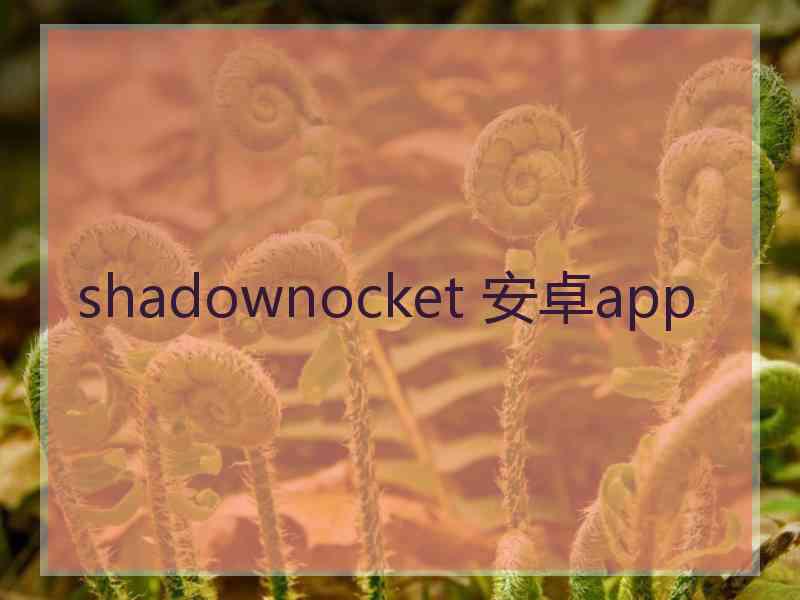 shadownocket 安卓app