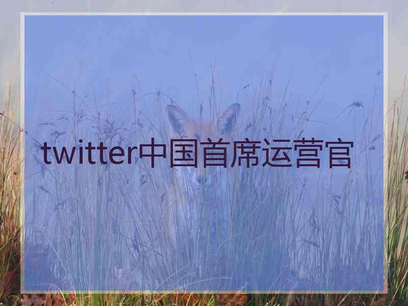 twitter中国首席运营官