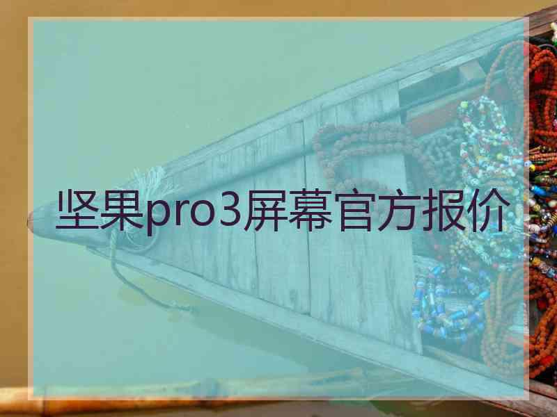 坚果pro3屏幕官方报价