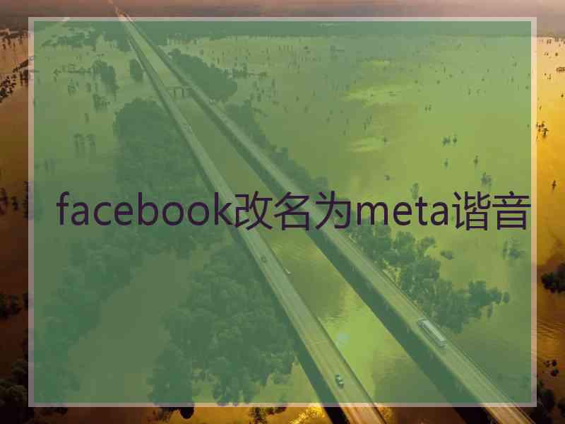 facebook改名为meta谐音