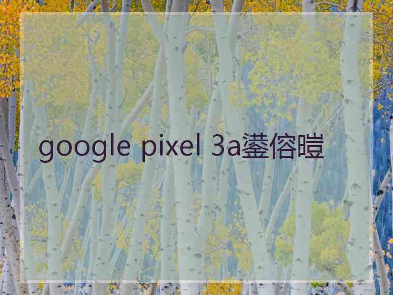 google pixel 3a鍙傛暟