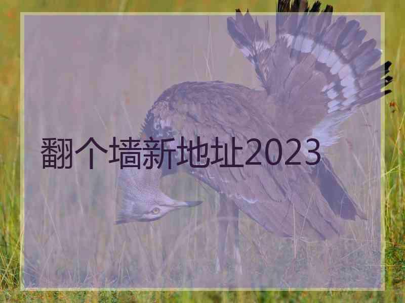 翻个墙新地址2023