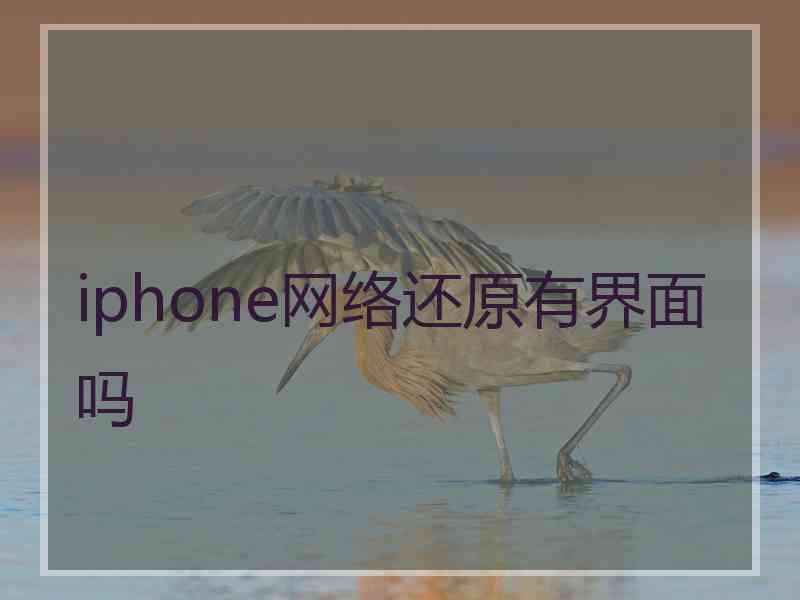 iphone网络还原有界面吗