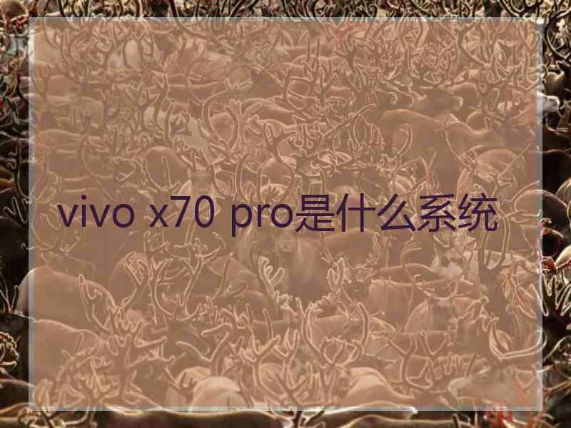 vivo x70 pro是什么系统