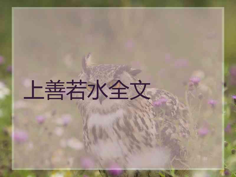 上善若水全文