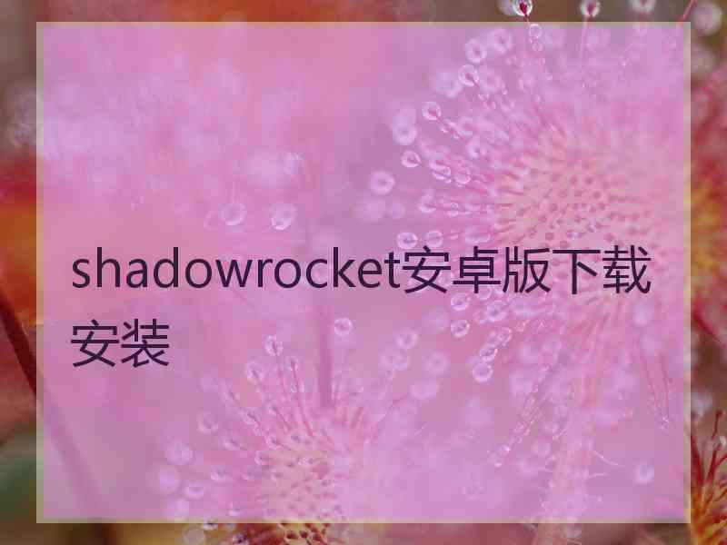 shadowrocket安卓版下载安装