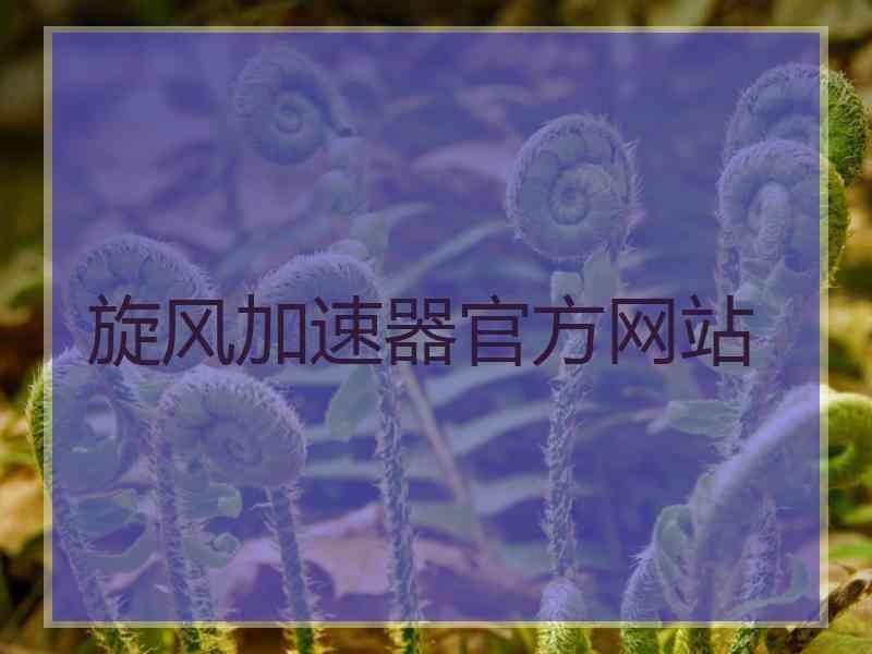 旋风加速器官方网站