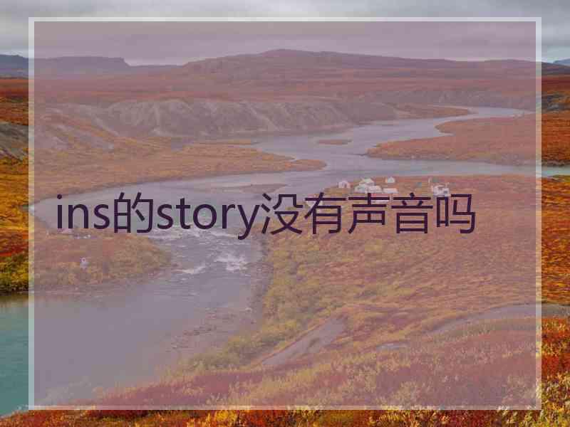 ins的story没有声音吗