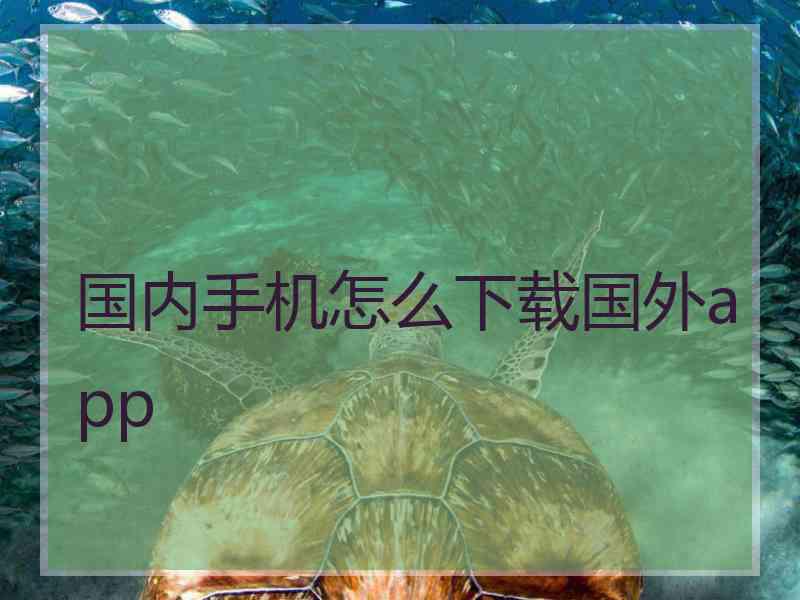 国内手机怎么下载国外app