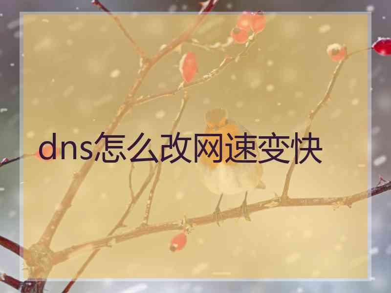 dns怎么改网速变快