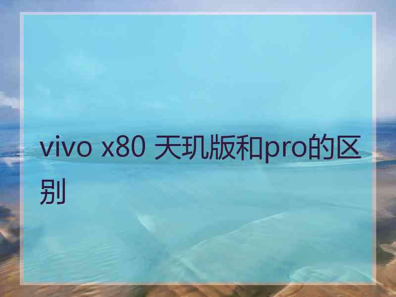 vivo x80 天玑版和pro的区别