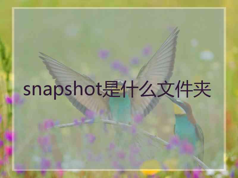 snapshot是什么文件夹