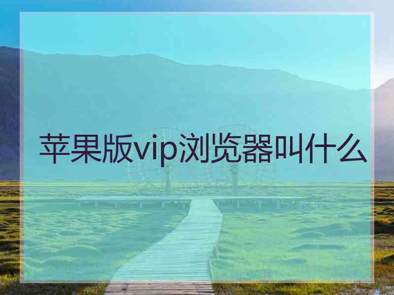 苹果版vip浏览器叫什么