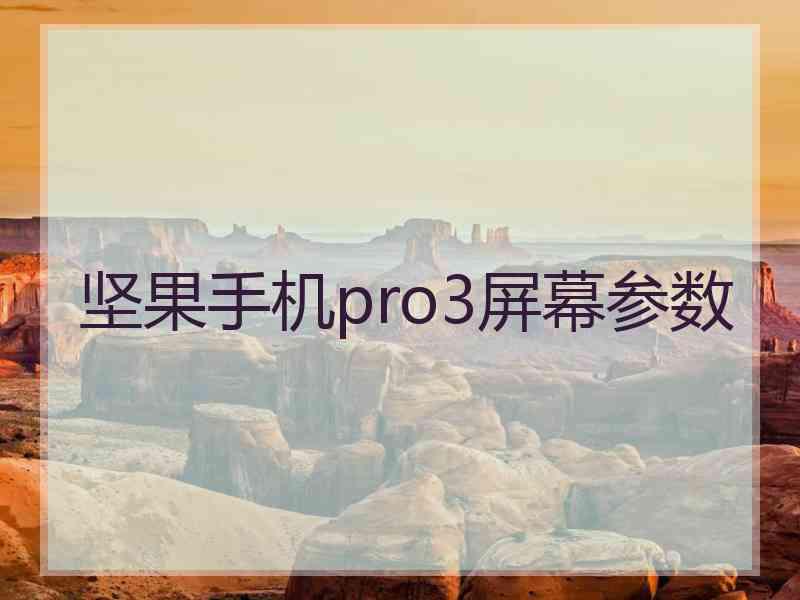 坚果手机pro3屏幕参数