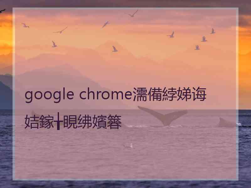 google chrome濡備綍娣诲姞鎵╁睍绋嬪簭