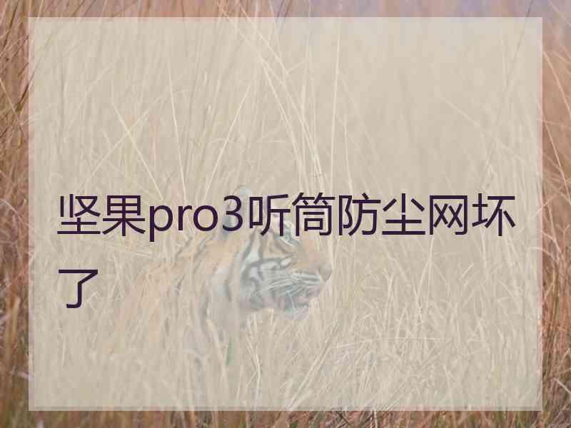 坚果pro3听筒防尘网坏了