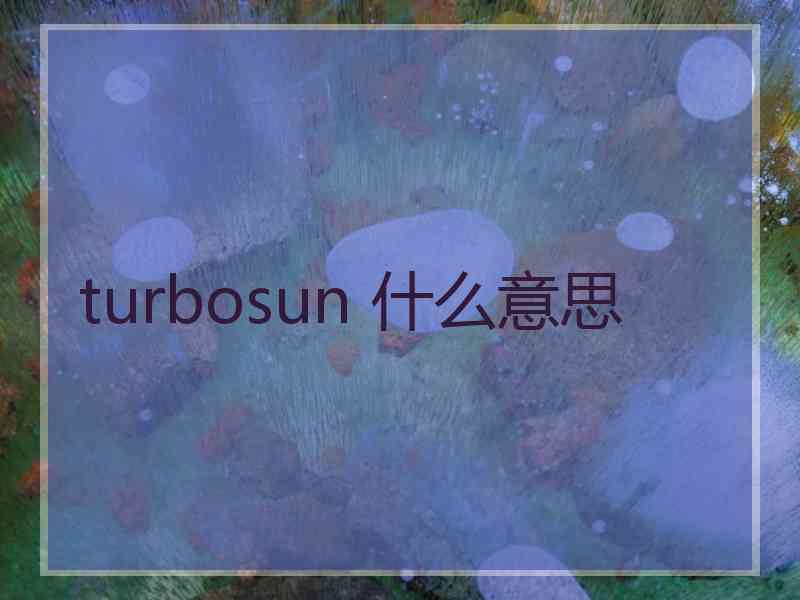 turbosun 什么意思