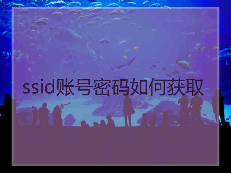 ssid账号密码如何获取