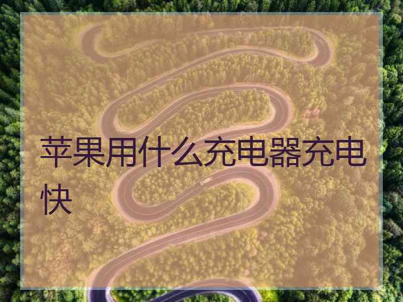 苹果用什么充电器充电快