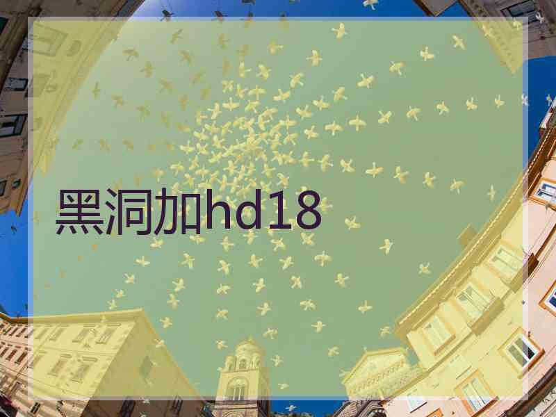 黑洞加hd18