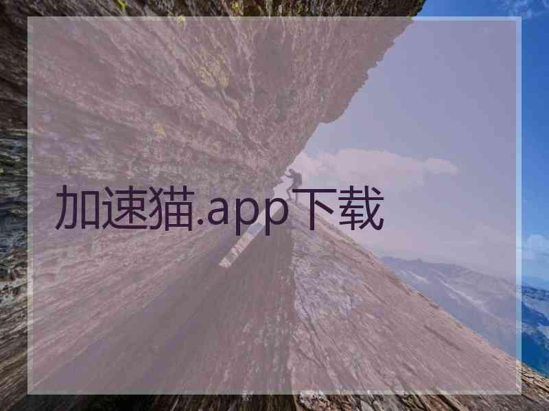 加速猫.app下载