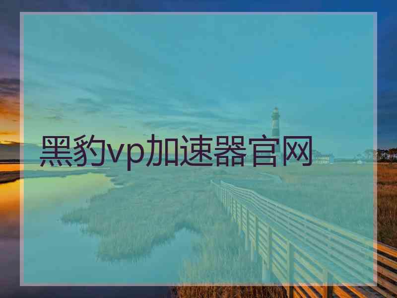 黑豹vp加速器官网