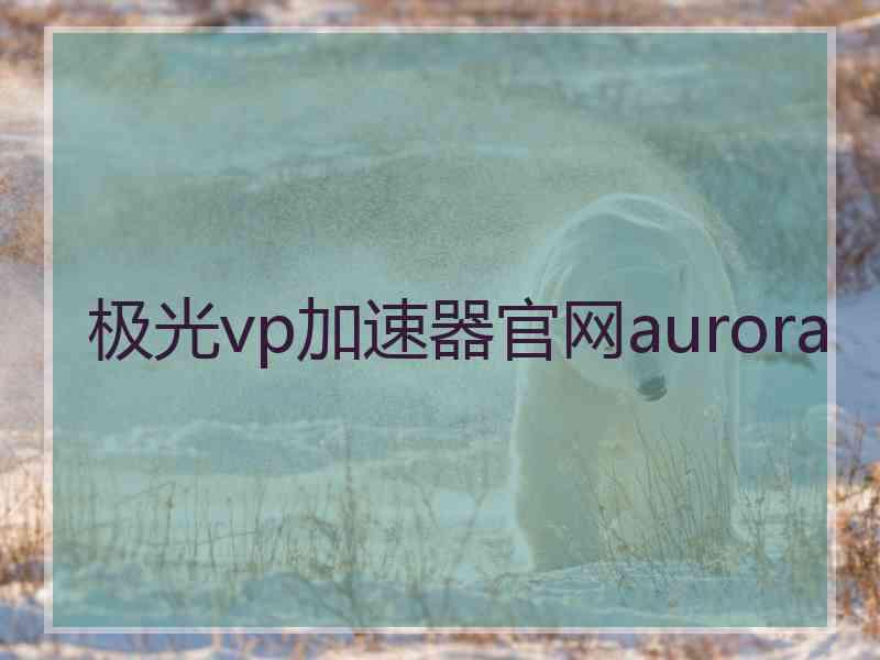 极光vp加速器官网aurora