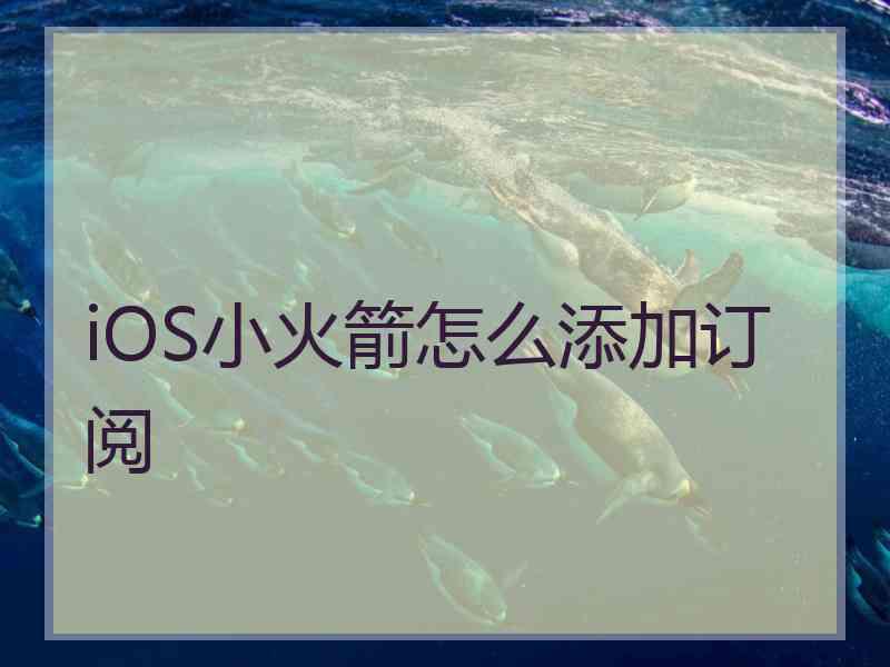 iOS小火箭怎么添加订阅