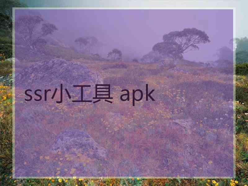 ssr小工具 apk