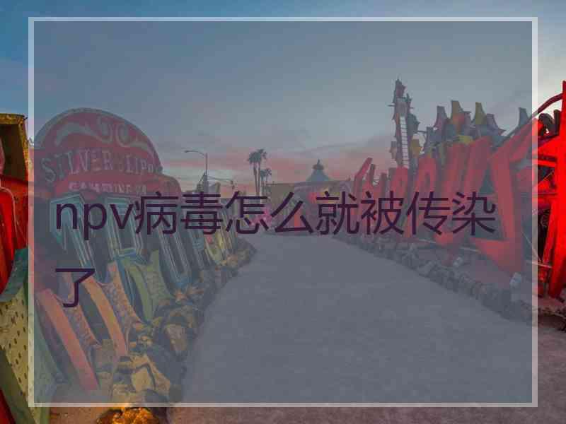 npv病毒怎么就被传染了