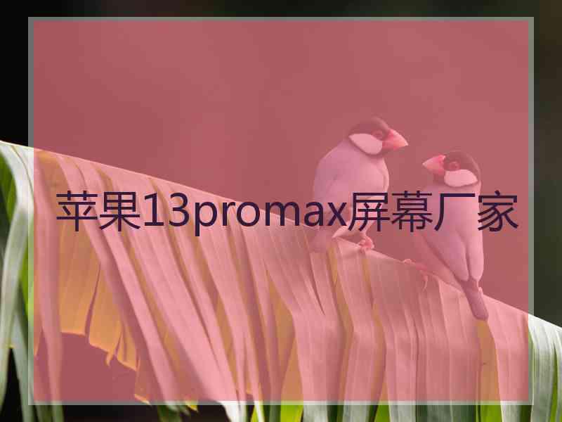 苹果13promax屏幕厂家