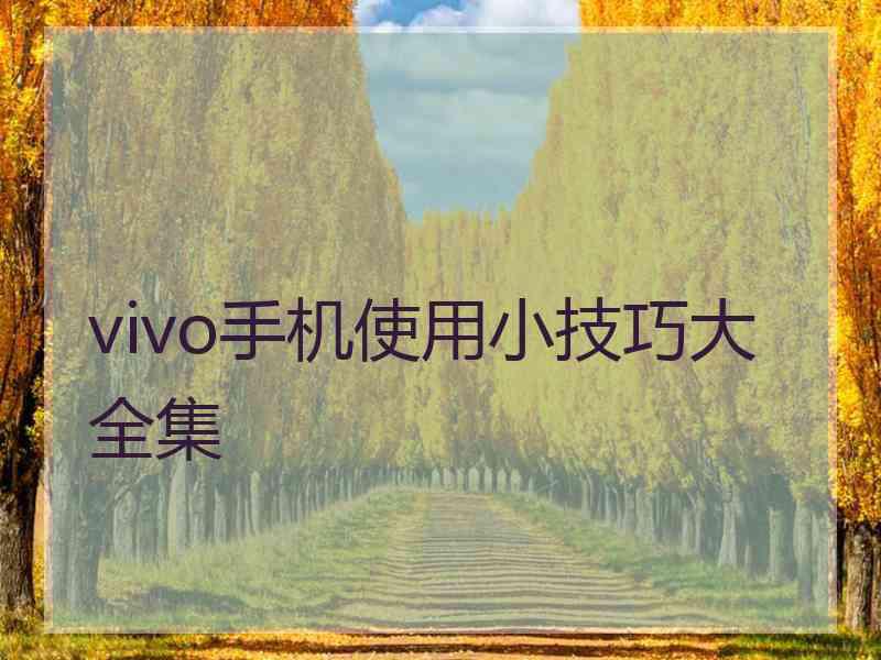 vivo手机使用小技巧大全集