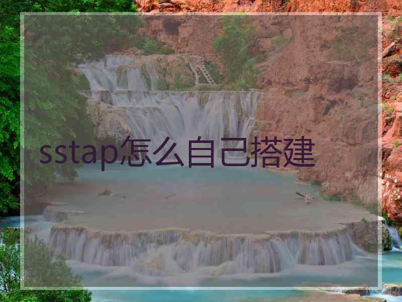 sstap怎么自己搭建